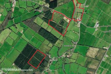 Lands Rossmore, Cashel, Co. Tipperary