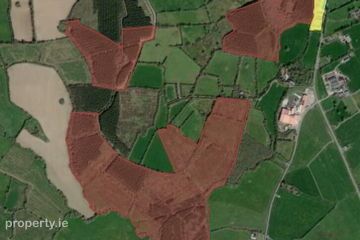 Beeverstown, Mullinahone, Co. Tipperary