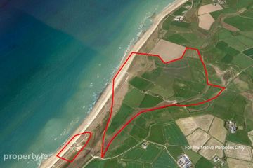 Ringbawn/Ballagh Land (132.5 Acres), Tacumshin, Co Wexford