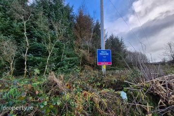 27.13 Acres Of Forestry, Stripe North, Milltown, Tuam, Co. Galway