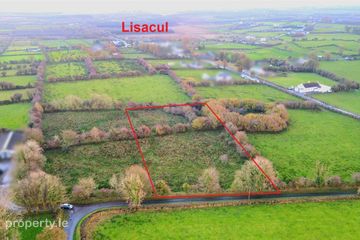 Whitestown, Lisacul, Roscommon