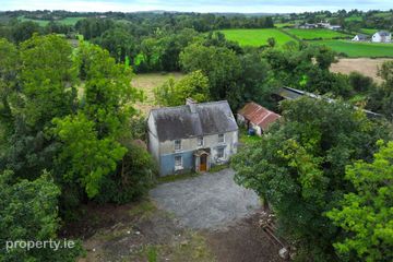 Dingins, Lough Gowna, Co. Cavan