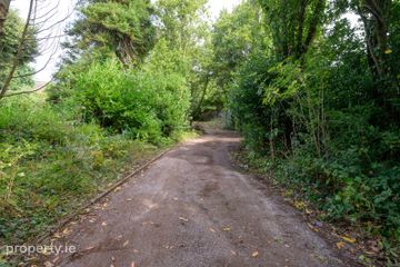 Springmount House, Sunday's Well Road, Sunday's Well, Co. Cork, T23V6P9 — photo 3