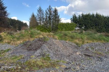 Inchadrinagh, Newport, Co. Tipperary — photo 3