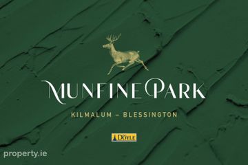 Munfine Park, Blessington, Co. Wicklow — photo 2