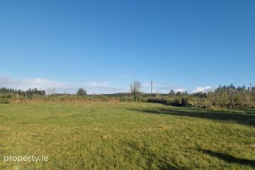 Trien, Castlerea, Co. Roscommon — photo 2