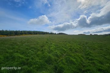 Slieveroe, Ballymore Eustace, Co. Kildare