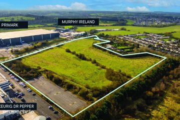 Lands at Great Connell, Newbridge, Co. Kildare