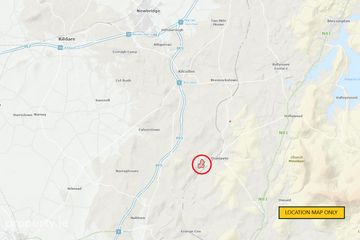 Land C. 55 Acres / 22.2 Hectares Milltown, Dunlavin, Co. Wicklow — photo 3