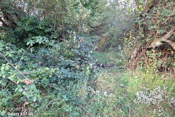 0.23 Acre Plot of Land, The Raven, Curracloe, Co Wexford — photo 3