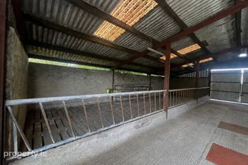 Farmyard and Slatted Sheds to rent, Four Mile House, Roscommon, Co. Roscommon — photo 3