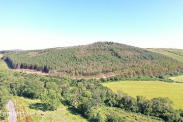 Saddle Hill, Blessington, Thomastown, Co. Kilkenny