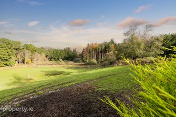Hanalei, Newtown, Enniskerry, Co. Wicklow, A98WD62 — photo 2