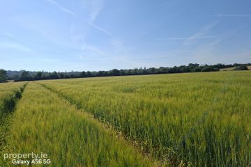 Rathdaniel, Collon, Co. Louth