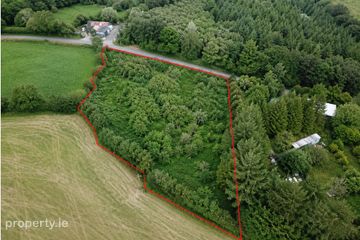 Lands At, Ballanabarney, Inistioge, Co. Kilkenny