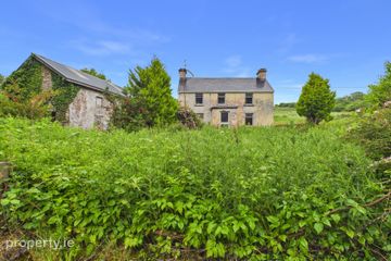 Srahaunananta, Kilnadeema, Loughrea, Co. Galway, H62NW18