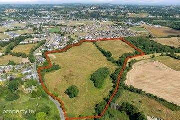 c. 8.7 hectares / 21.9 acres at Carley’s Bridge, Enniscorthy, Co. Wexford