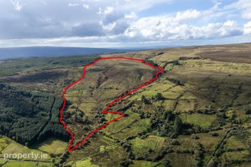 Lands At Dergovone, Dowra, Co. Leitrim, Folios LM 15197, 15199, N41E894 — photo 3