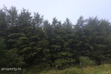 Finanefield, Rathcool, Co. Cork