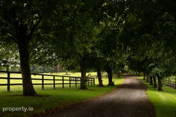 Triermore House and Stud Farm, Fordstown, Navan, County Meath, C15 H5KH — photo 3