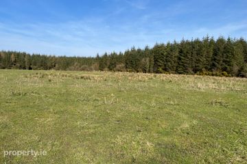 Ballydrimnagh, Streamstown, Tynagh, Co. Galway