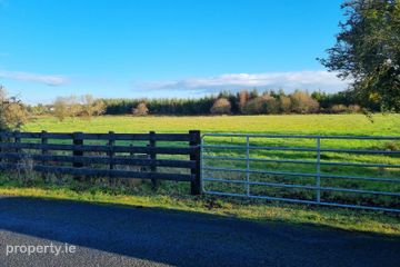 Cloonlee, Ballinlough, Ballinlough, Co. Roscommon