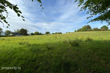 Site at Ballycorrigan, Ballina, Co. Tipperary — photo 2