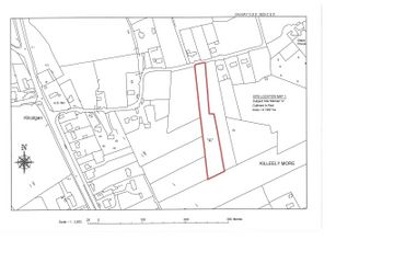 SITE A, Killeely More