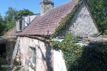 Greaghnafarna, Arigna, Altagowlan, Co. Roscommon, N41XF24 — photo 3