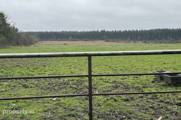 Ballymahon ED , Ballymahon Municipal District , Moydow, Co. Longford