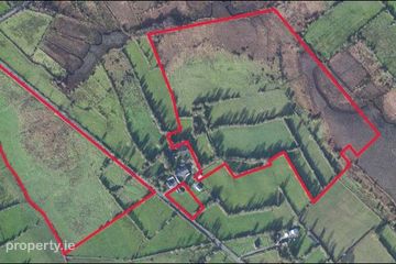 Derrygeel, Lanesborough, Co. Longford