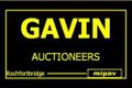 Pat Gavin logo