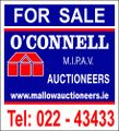 William O'Connell logo