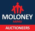 Des Moloney logo