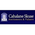 Niall Cahalane logo