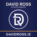 David Scally logo