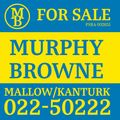 Pat Murphy logo