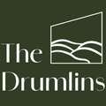 Fintan Cahill Auctioneers & DNG Dwyer logo