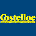David Costelloe logo
