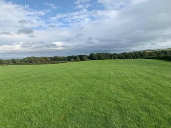 17 Acres, Of New Grass For 1st Cut Cut, Urra, Ballycommon, Co. Tipperary, Ballycommon, Co. Tipperary - Image 2