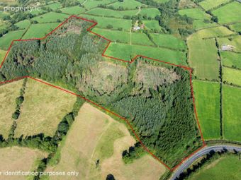 Corracarrow, Ballyjamesduff, Co. Cavan, Ballyjamesduff, Co. Cavan - Image 2
