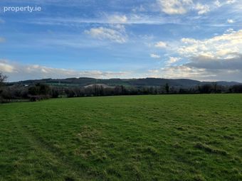 C.37 Acres Farm Land, Ashford, Co. Wicklow - Image 4