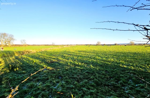 Kearntown, Drumconrath, Co. Meath - Click to view photos
