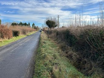 Treascan, Portarlington, Portarlington, Co. Offaly - Image 2