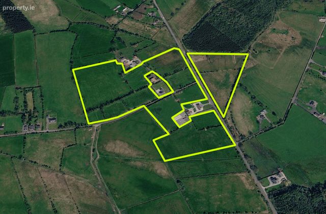 22 Acres (approx.) Of Meadow/silage To Let At Ballymartin More, Roscommon Town, Co. Roscommon, Roscommon Town, Co. Roscommon - Click to view photos