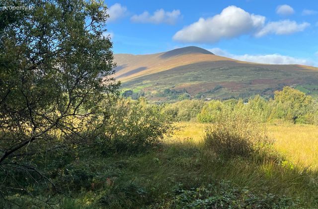 Kealduff Lower, Glenbeigh, Co. Kerry - Click to view photos