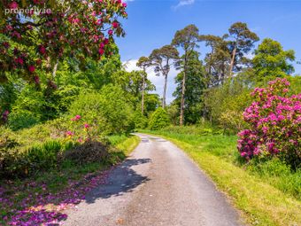 Waterloo House, Navigation Road, Mallow, Co. Cork, Ballyclough, Co. Cork - Image 4