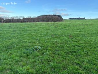 Cummer, Newcestown, Co. Cork - Image 2