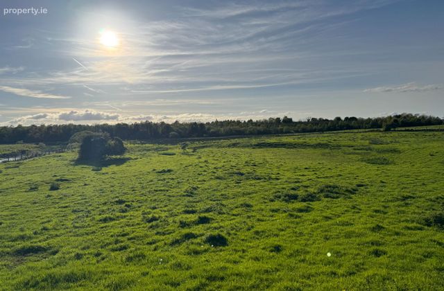 Hollymount Demense, Hollymount, Co. Mayo - Click to view photos
