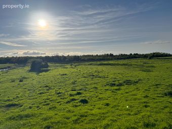 Hollymount Demense, Hollymount, Co. Mayo